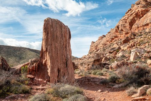 Red Rock hike-245web