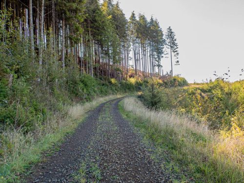 Rockaway gravel-204web