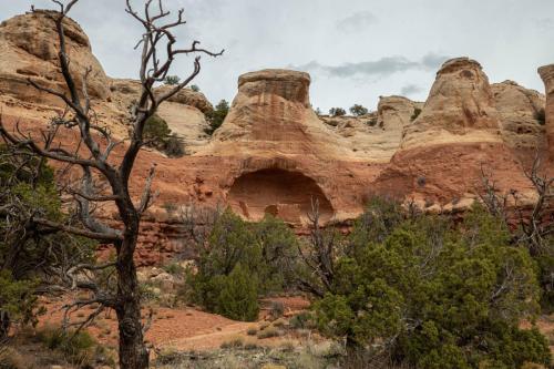 Sand Canyon hike-202web