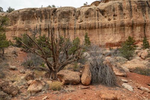 Sand Canyon hike-211web
