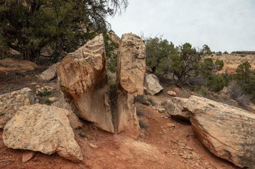 Sand Canyon hike-212web