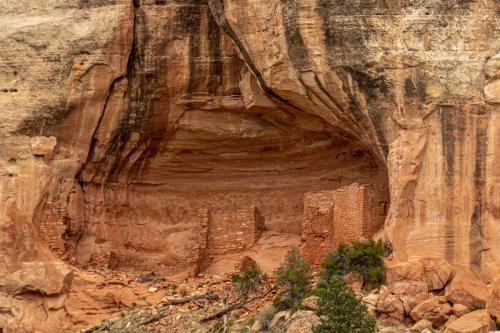 Sand Canyon hike-218web