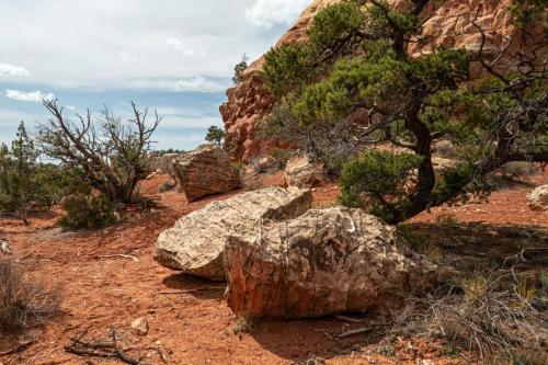 Sand Canyon hike-225web