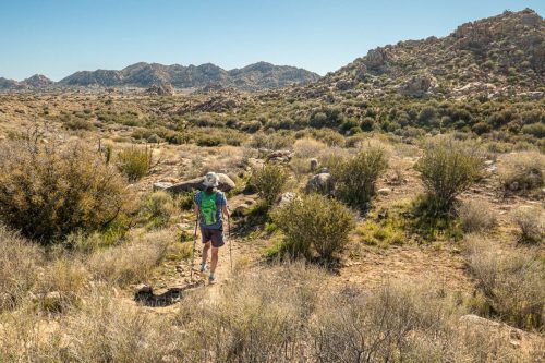 Sawtooth Loop-200web