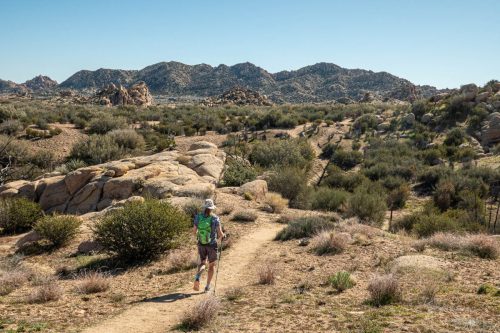 Sawtooth Loop-202web