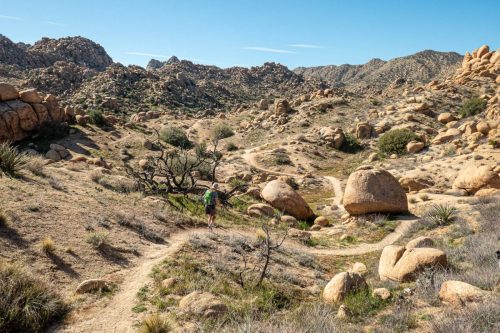 Sawtooth Loop-203web