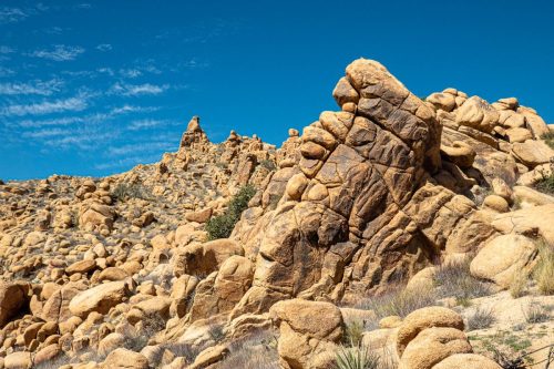 Sawtooth Loop-204web