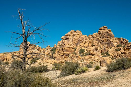 Sawtooth Loop-206web