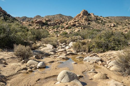 Sawtooth Loop-207web