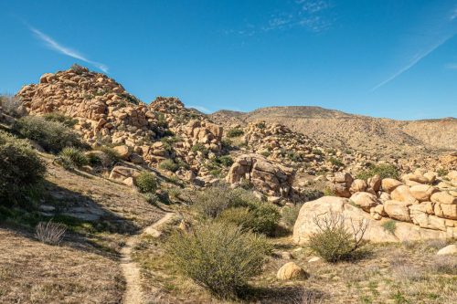 Sawtooth Loop-208web