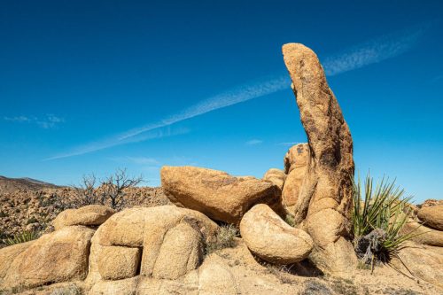 Sawtooth Loop-209web