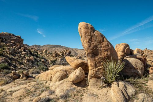 Sawtooth Loop-210web