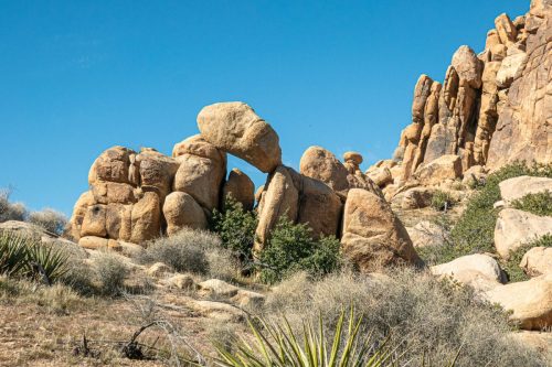 Sawtooth Loop-211web