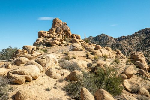 Sawtooth Loop-212web