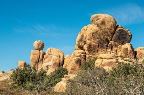 Sawtooth Loop-217web