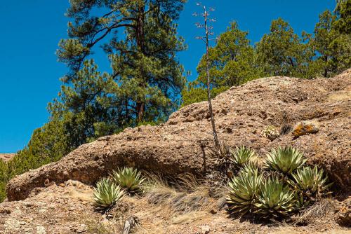 Skate Canyon_2023_17Web