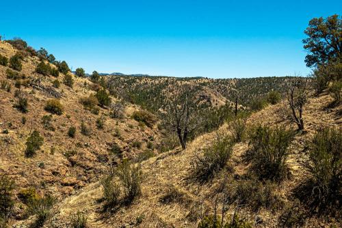 Skate Canyon_2023_21Web