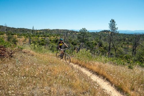 Swassy trails-201web