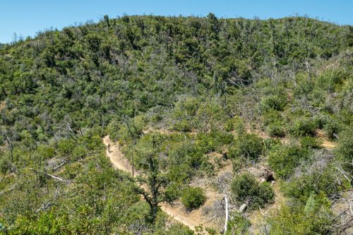 Swassy trails-205web