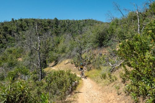 Swassy trails-207web