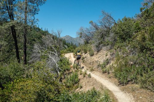 Swassy trails-208web