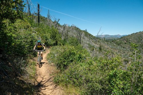 Swassy trails-210web