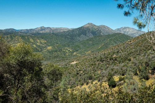 Swassy trails-214web