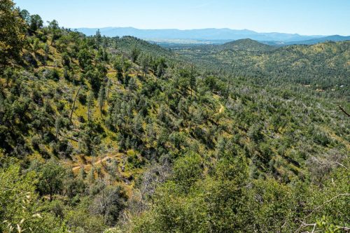 Swassy trails-215web
