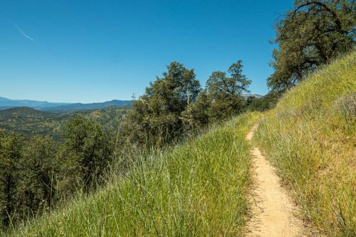 Swassy trails-216web