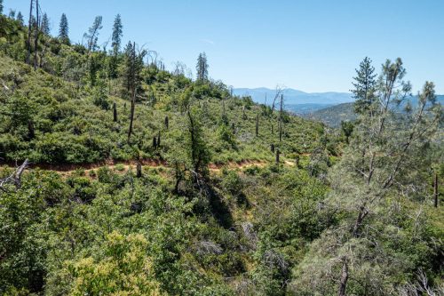 Swassy trails-217web