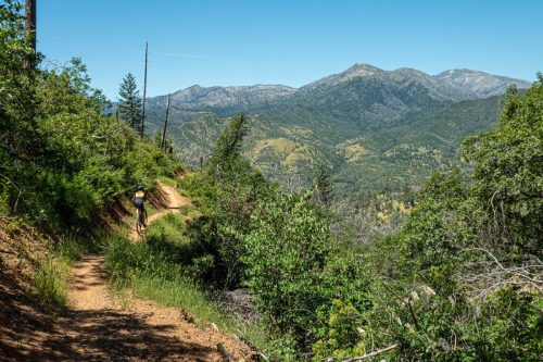 Swassy trails-218web