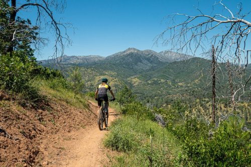 Swassy trails-220web