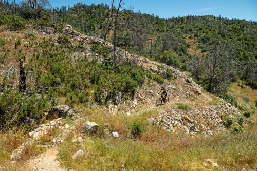 Swassy trails-224web