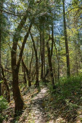W Weaver Creek-200web