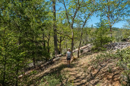 W Weaver Creek-203web