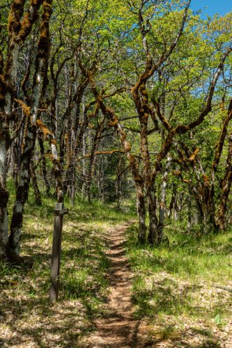 W Weaver Creek-207web