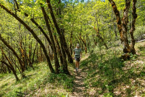 W Weaver Creek-208web