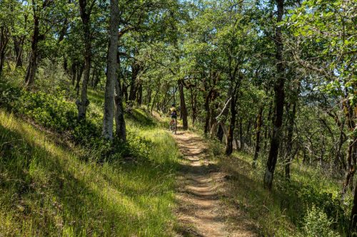Weaverville MTB 2-201web