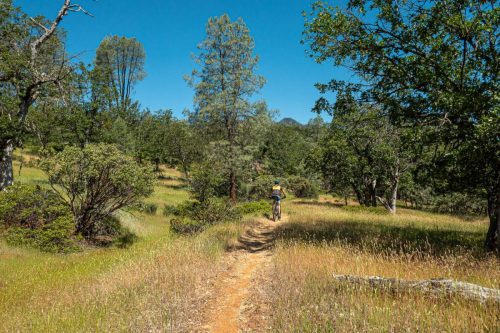 Weaverville MTB 2-204web