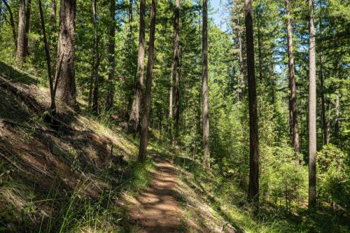 Weaverville MTB 2-205web