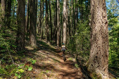 Weaverville MTB 2-206web