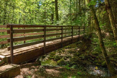 Weaverville MTB 2-210web