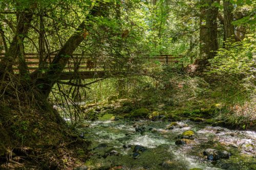 Weaverville MTB 2-211web