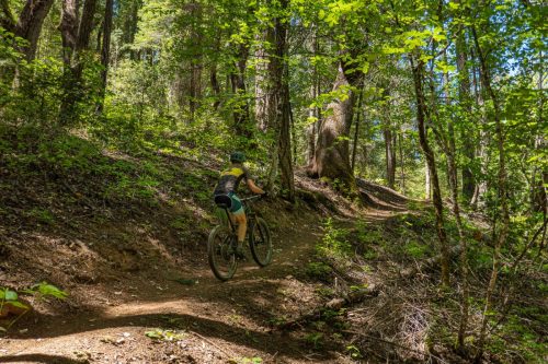 Weaverville MTB 2-212web