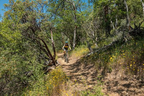 Weaverville MTB 2-216web
