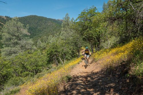 Weaverville MTB 2-220web
