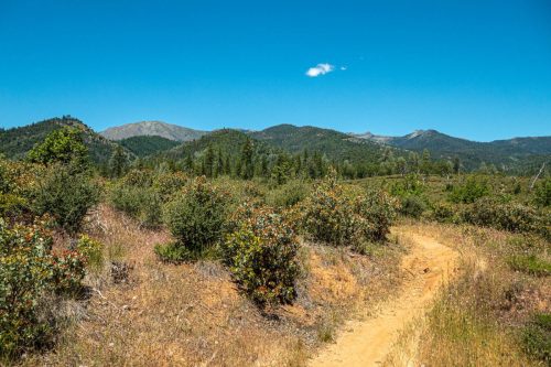 Weaverville MTB 2-222web