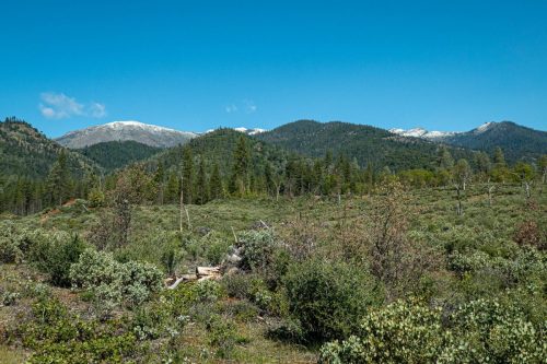 Weaverville MTB-202web