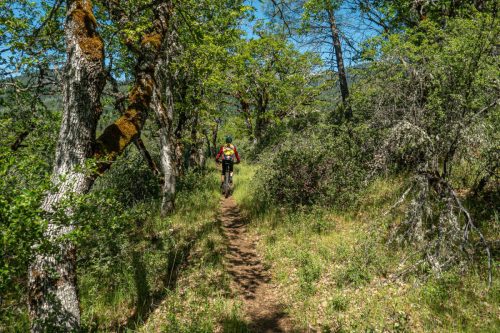 Weaverville MTB-205web