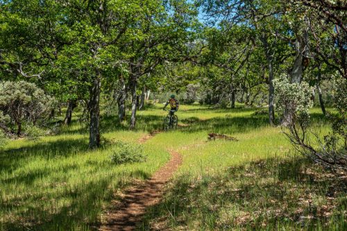 Weaverville MTB-208web